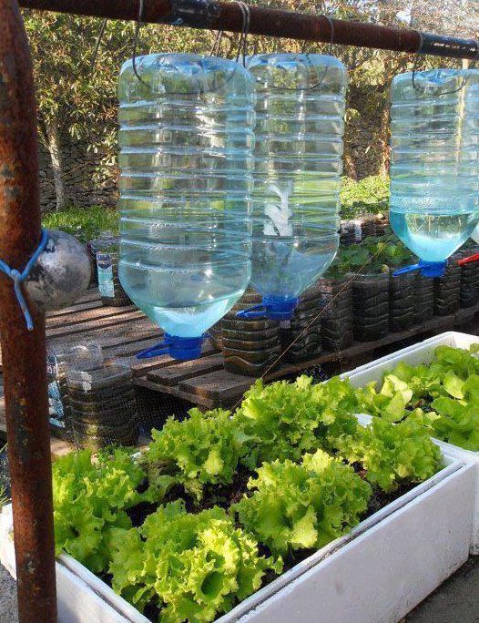 Cara Membuat Sistem Penyiraman Tanaman Sederhana dengan Botol Plastik