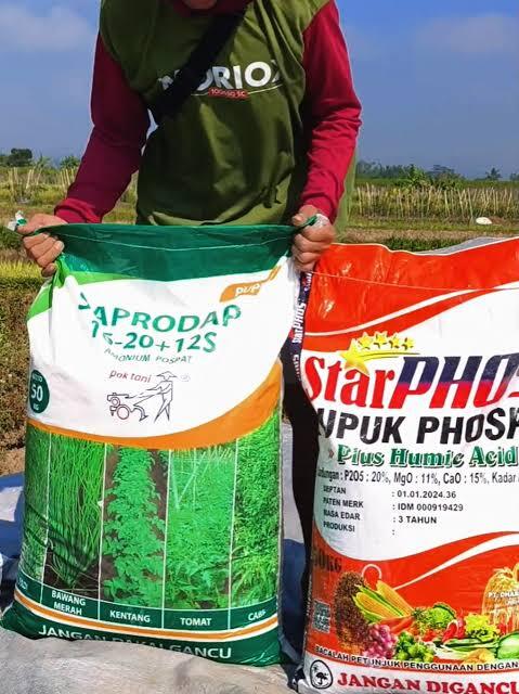 Jenis Pupuk Cabai agar Berbuah Lebat