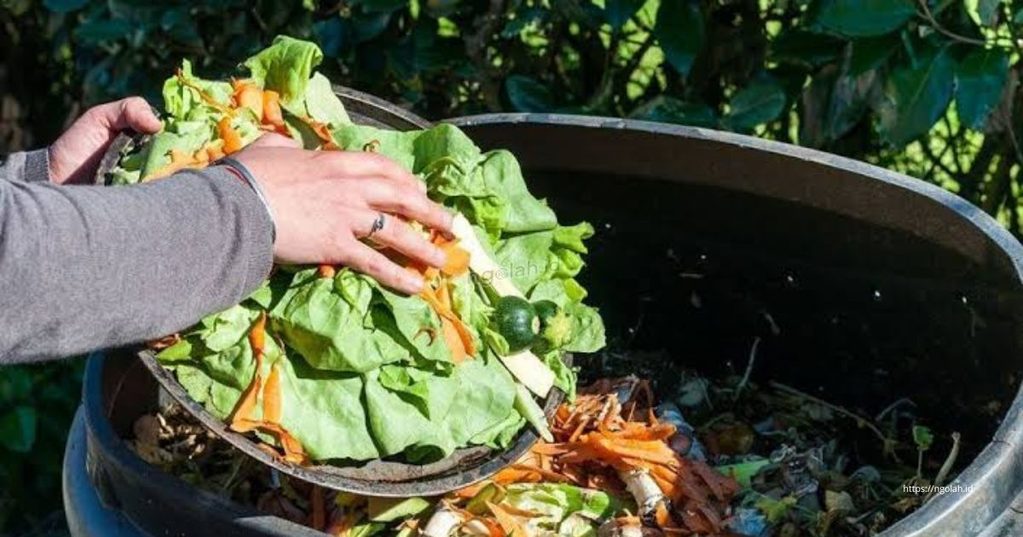 Cara Membuat Pupuk Organik Cair dari Limbah Dapur