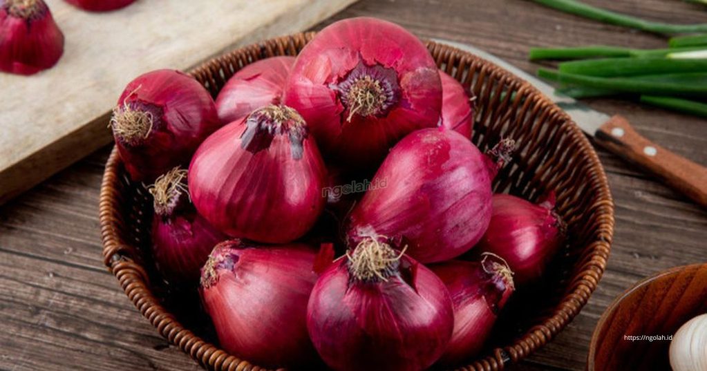 Cara Menyimpan Bawang Merah agar Tahan Lama dan Tidak Cepat Busuk 5 Ngolah.id - Berapa Lama Bawang Merah Bisa Bertahan