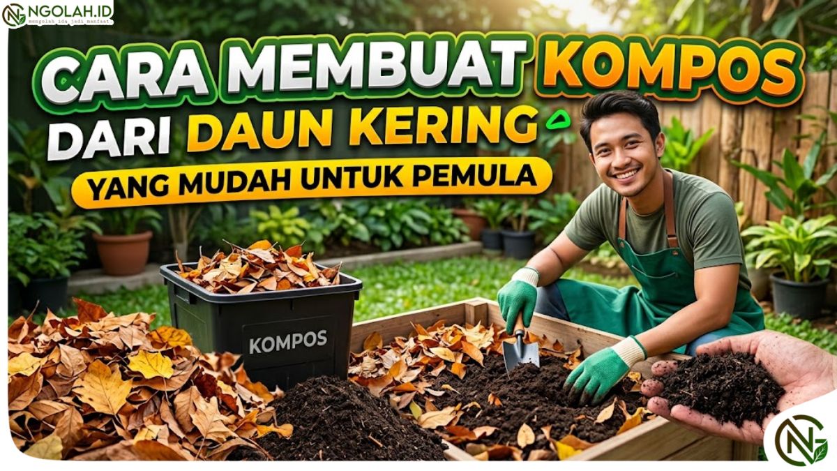 Cara Membuat Kompos dari Daun Kering yang Mudah untuk Pemula