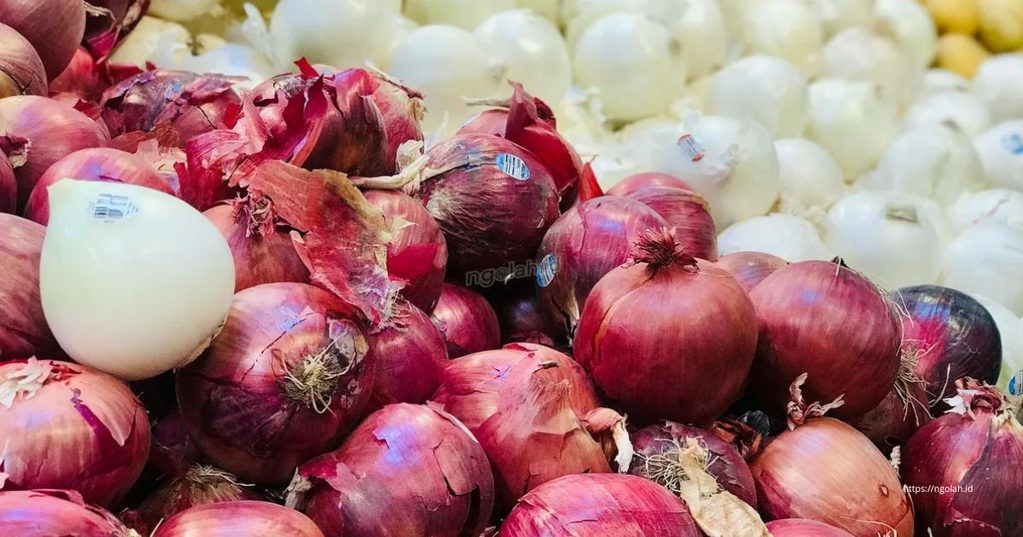 Cara Menyimpan Bawang Merah agar Tahan Lama dan Tidak Cepat Busuk 4 Cara Menyimpan Bawang Merah agar Tahan Lama