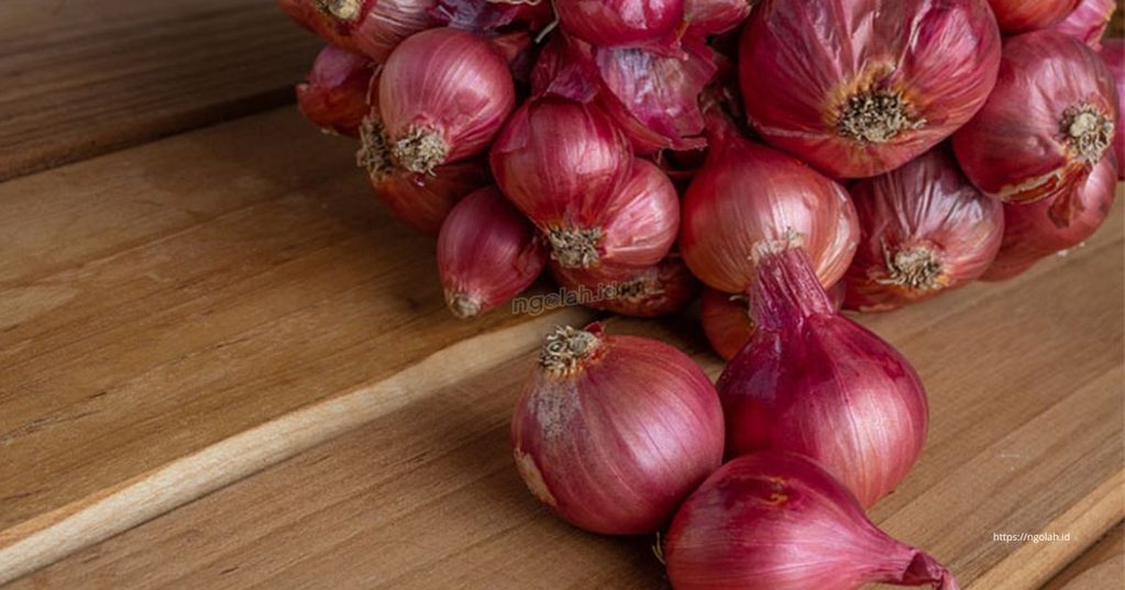Cara Menyimpan Bawang Merah agar Tahan Lama dan Tidak Cepat Busuk 2 Cara Menyimpan Bawang Merah agar Tahan Lama