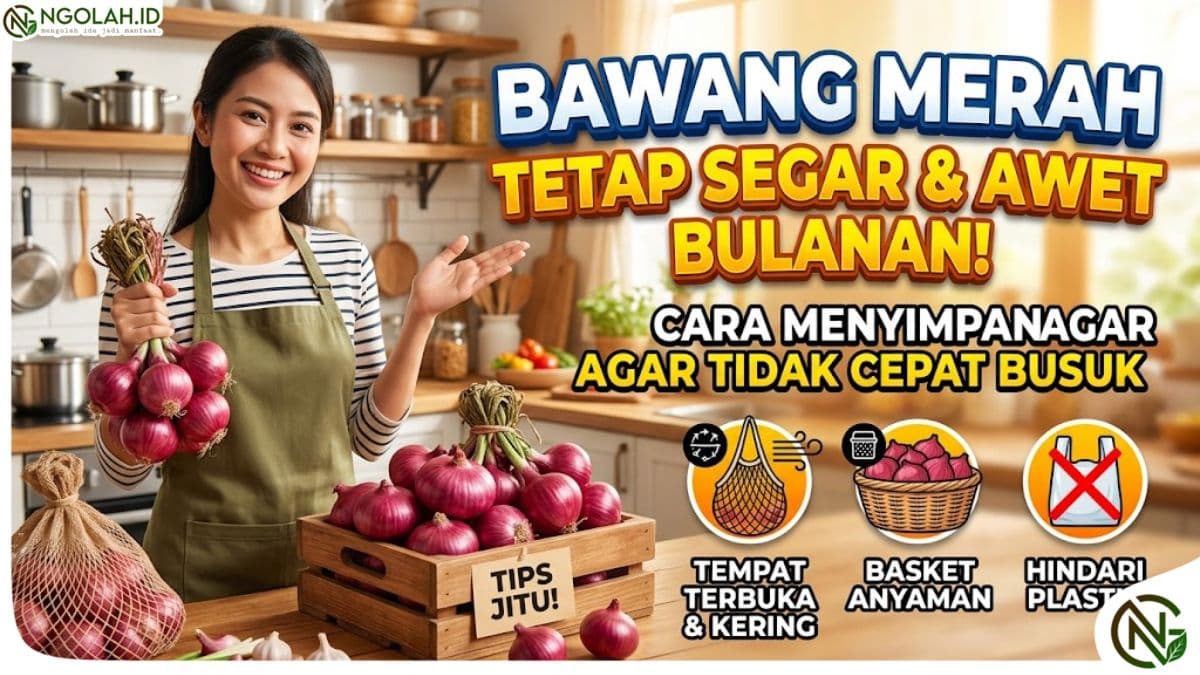 Cara Menyimpan Bawang Merah agar Tahan Lama dan Tidak Cepat Busuk