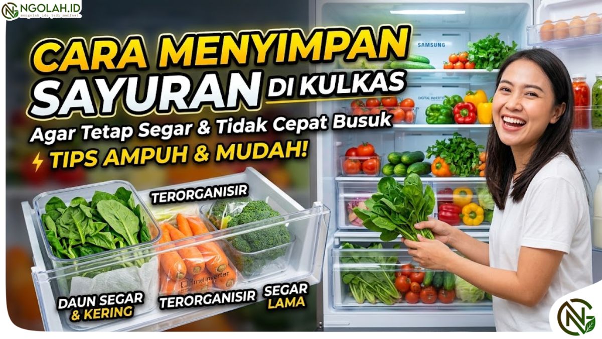 Cara Menyimpan Sayuran di Kulkas agar Tetap Segar dan Tidak Cepat Busuk
