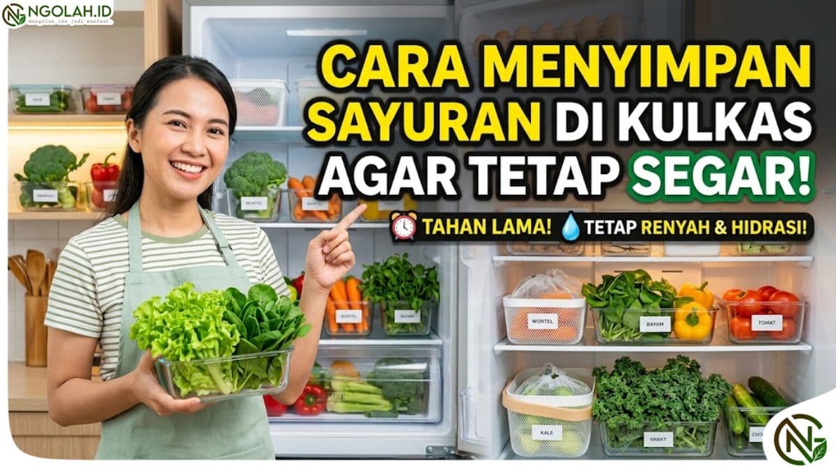 Cara Menyimpan Sayuran di Kulkas agar Tetap Segar dan Tidak Cepat Layu